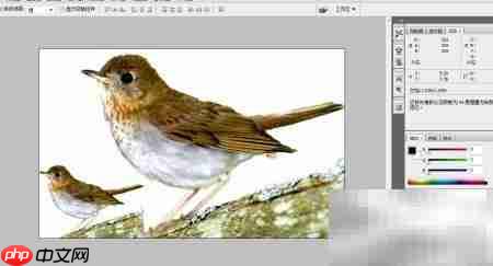 PS设计精美图片技巧  第6张