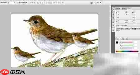 PS设计精美图片技巧  第7张