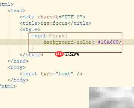 CSS聚焦背景色设置技巧  第3张