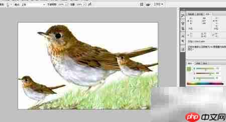 PS设计精美图片技巧  第9张