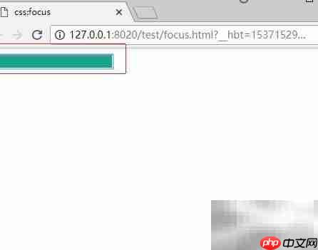 CSS聚焦背景色设置技巧  第5张
