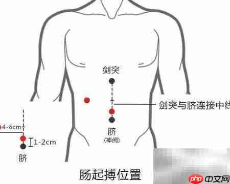 胃肠动力治疗仪  第9张
