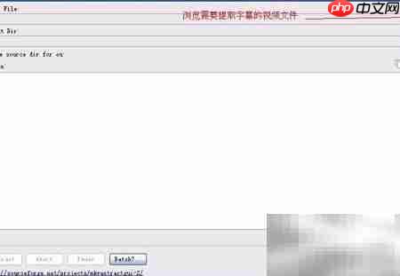提取视频字幕技巧