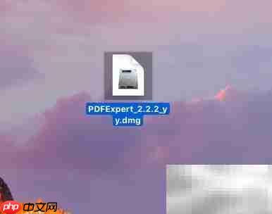 PDF Expert for Mac安装指南  第2张