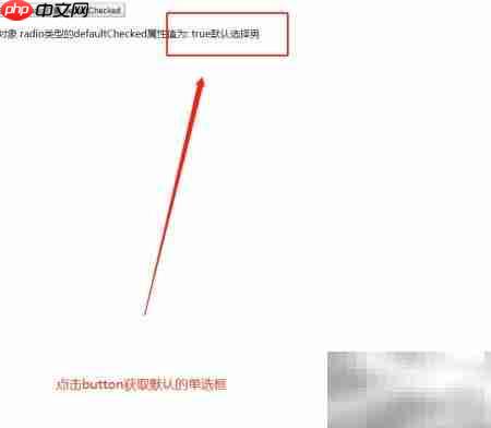 radio对象defaultChecked用法解析 第6张 radio对象defaultChecked用法解析 第6张