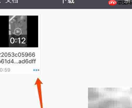 documents如何下载视频  第6张