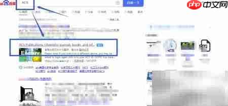 下载英文文献支持信息指南  第2张