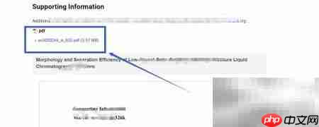 下载英文文献支持信息指南  第6张