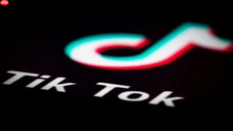 TikTok登录网页版入口 TikTok官方入口快速登录 第1张 TikTok登录网页版入口 TikTok官方入口快速登录 第1张