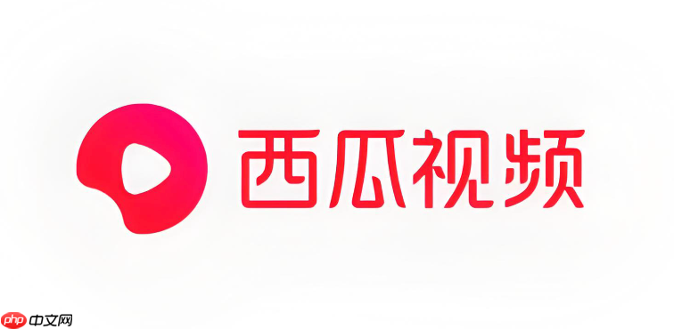 西瓜视频收益明细在哪里看_西瓜视频收益明细查看方法  第1张