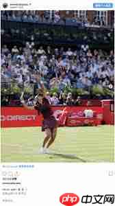 温网2025直播在哪看  第3张