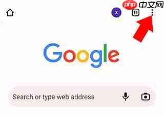 谷歌浏览器中文设置教程  第1张