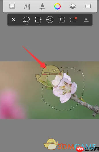 《sketchbook》选区移动教程  第3张