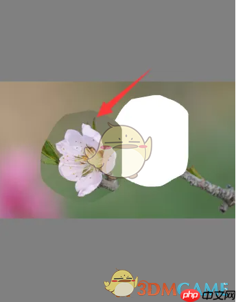 《sketchbook》选区移动教程  第5张