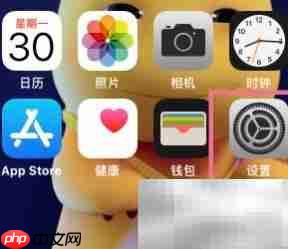 iPhone系统自动更新设置指南  第1张