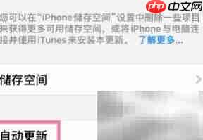iPhone系统自动更新设置指南  第4张