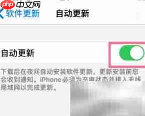 iPhone系统自动更新设置指南  第5张
