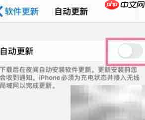 iPhone系统自动更新设置指南  第6张
