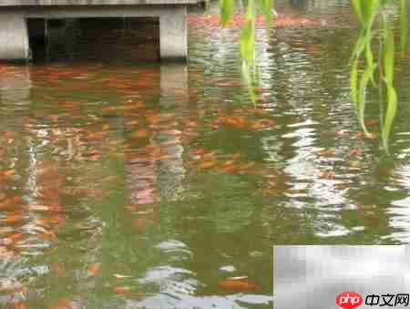 翻页相册制作全攻略  第1张