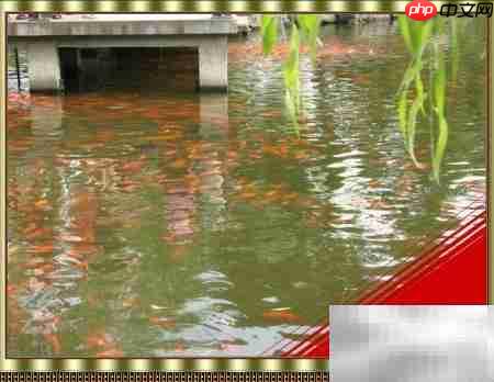 翻页相册制作全攻略  第5张