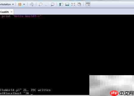 Perl编写HelloWorld入门  第9张