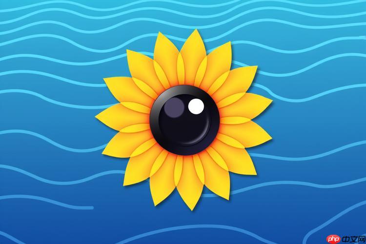 向日葵客户端怎么设置服务端隐藏_向日葵客户端服务端隐藏功能设置教程  第1张