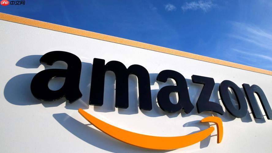 亚马逊代购支付实名认证_亚马逊代购支付实名要求  第1张