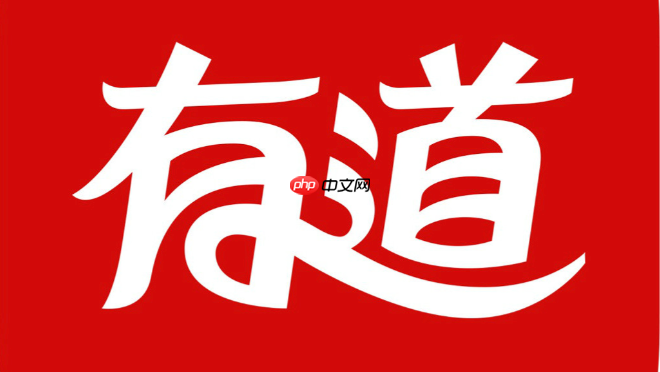 有道网页版在线翻译入口 官方翻译器入口