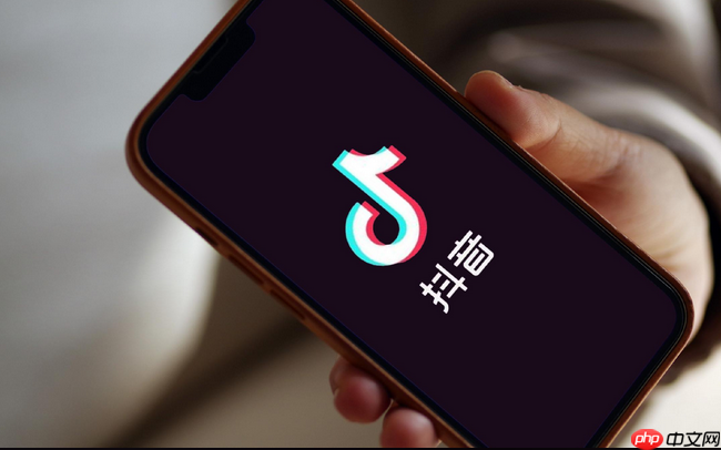 抖音网页版怎么登录_抖音网页版登录方法大全  第1张