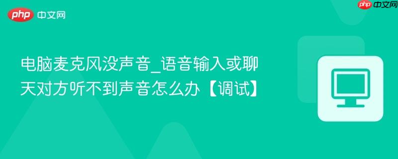 电脑麦克风没声音_语音输入或聊天对方听不到声音怎么办【调试】