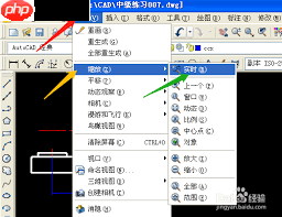 AutoCAD2007如何使用图形缩放