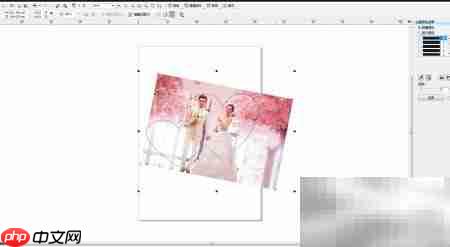 CDR软件图片设计入门技巧  第5张