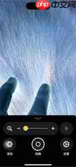 iPhone能检查宠物身上有虫子吗  第2张