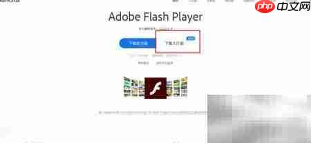 Flash修复安装一键搞定  第1张