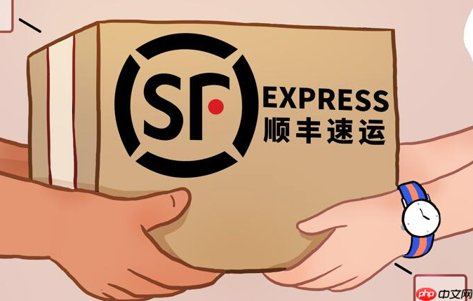 顺丰同城急送查询 实时配送追踪入口  第1张