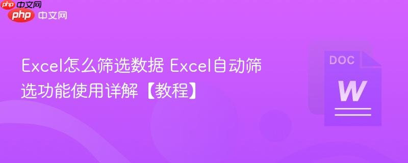Excel怎么筛选数据 Excel自动筛选功能使用详解【教程】  第1张