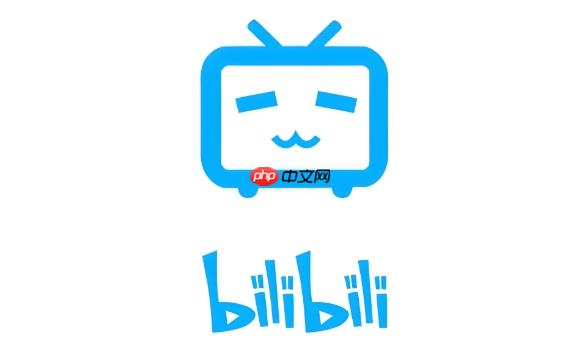 哔哩哔哩怎么设置视频字幕下载_B站字幕文件保存与字幕下载设置教程 第1张 哔哩哔哩怎么设置视频字幕下载_B站字幕文件保存与字幕下载设置教程 第1张