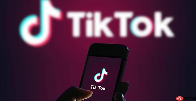Tiktok免登录网页入口 国际版在线直达入口  第1张