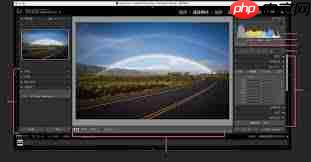 Lightroom如何关闭指定生态系统图像位置 第1张 Lightroom如何关闭指定生态系统图像位置 第1张