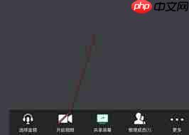 腾讯会议怎么同时视频和分享屏幕  第1张