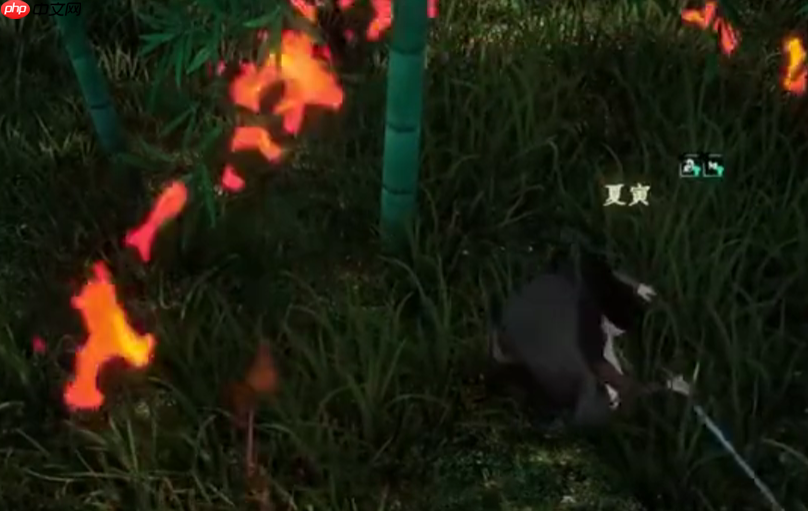 《下一站江湖2》月下剑舞任务攻略 第4张 《下一站江湖2》月下剑舞任务攻略 第4张