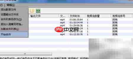 SolveigMM视频分割合并技巧  第7张