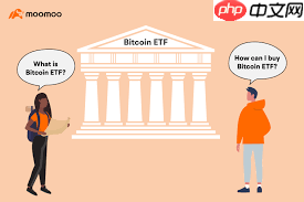 比特币etf与比特币有什么关系  第2张