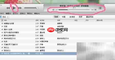 iPhone铃声设置与制作方法  第6张