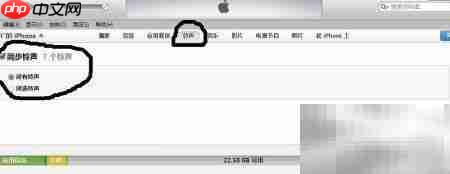 iPhone铃声设置与制作方法  第20张