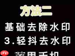 轻抖如何去除文字水印 第2张 轻抖如何去除文字水印 第2张