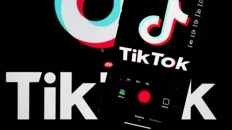 TikTok网页版在线入口 TikTok网页端最新更新观看