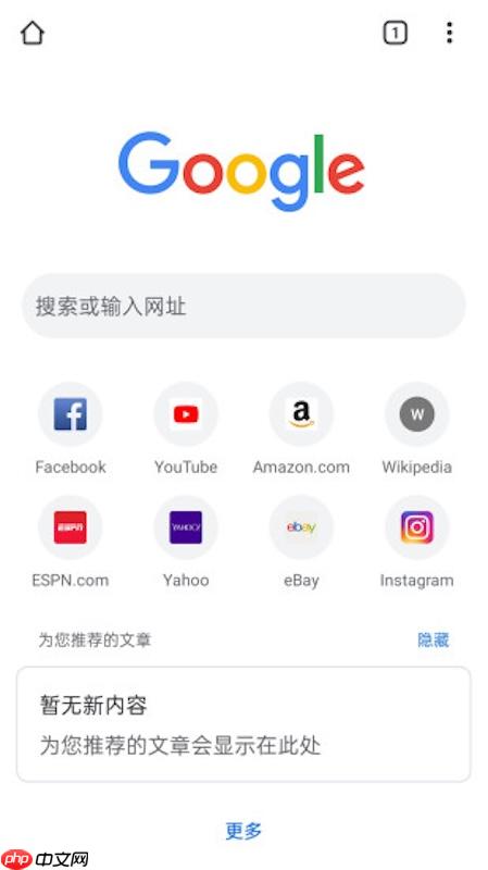 谷歌浏览器网页版最新官网_谷歌浏览器官方下载主页访问链接
