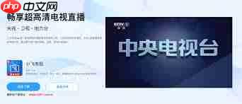 小飞电视如何看频道  第2张