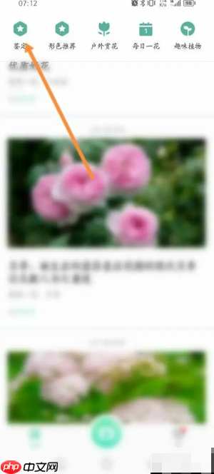 《形色》鉴定植物方法  第1张